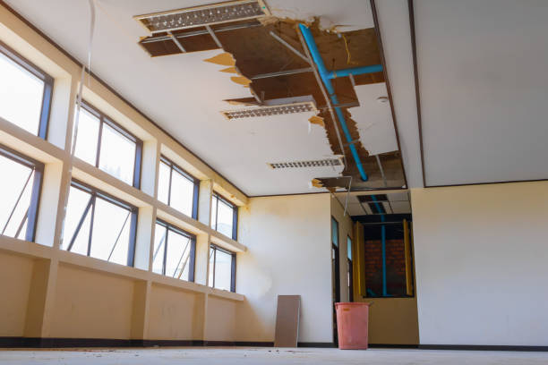 Best 24-hour water damage restoration  in Lmer Heights, PA