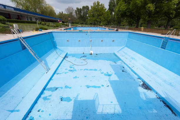 Best Basement water damage restoration  in Lmer Heights, PA