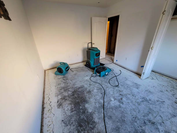 Best 24/7 water damage repair  in Lmer Heights, PA