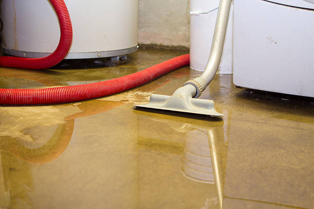 Best Ceiling water damage repair  in Lmer Heights, PA