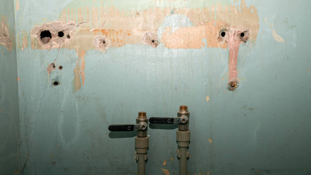 Best Water damage mitigation services  in Lmer Heights, PA