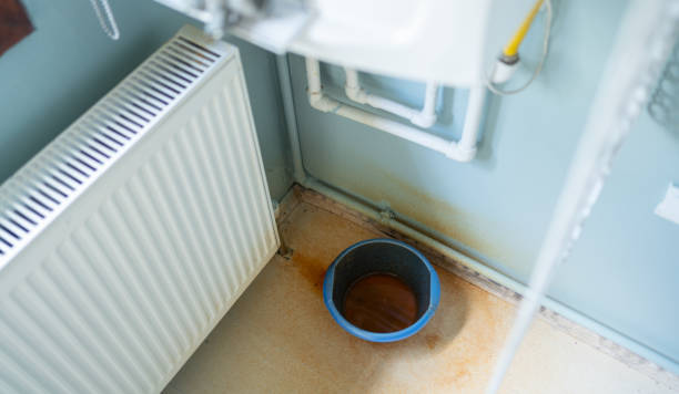 Best Flood damage cleanup  in Lmer Heights, PA